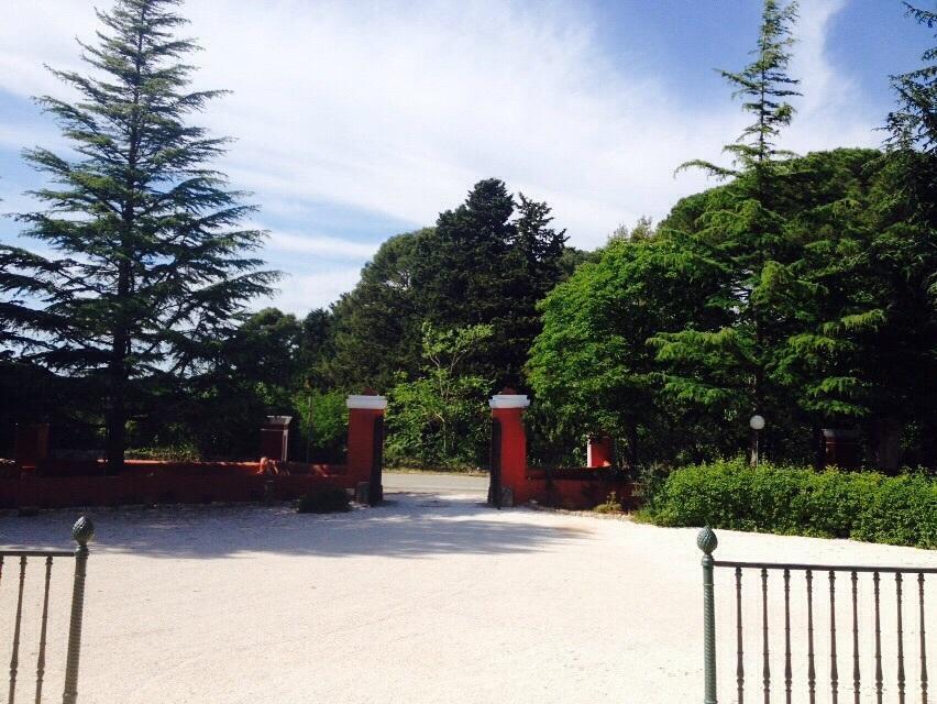 Agriturismo Il Castagnaro Villa Cozzana Bagian luar foto